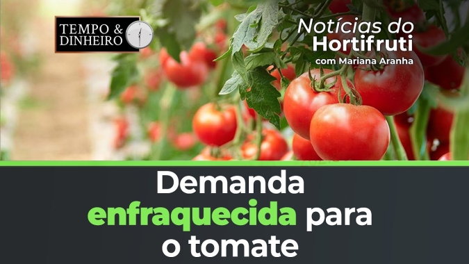 Demanda enfraquecida no atacado para o tomate. Volume de estoque controlado para a maçã gala