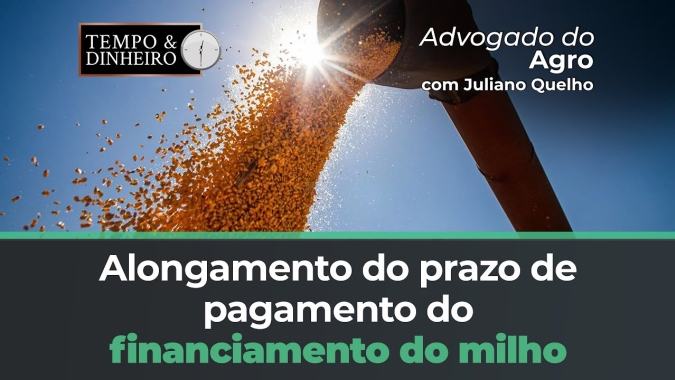 Está na hora de pensar no alongamento dos prazos de financiamento do milho