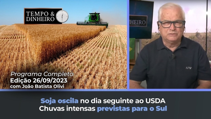 Dólar sobe e soja oscila no dia seguinte ao USDA. Chuvas intensas previstas para o Sul