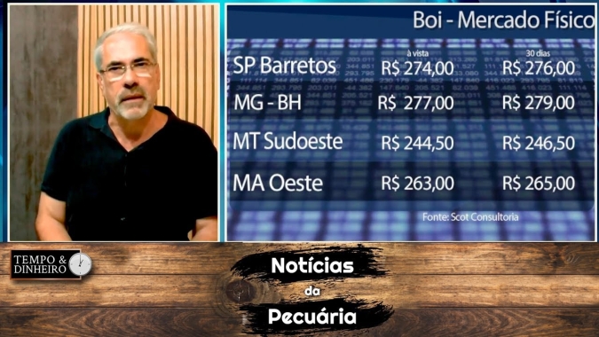 Boi gordo esboça reação, recomposição ou recuperação de preços?