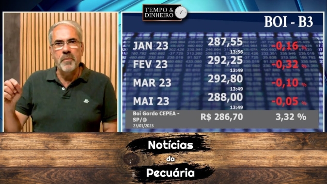 Boi está desanimado em um verdadeiro chove-não-molha de preços