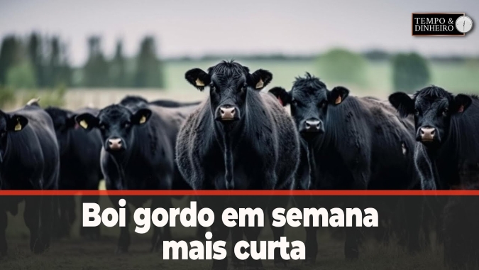 Boi gordo em semana mais curta de Carnaval não tem expectativa de alta de preços