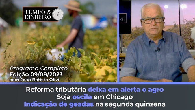Soja oscila em Chicago, dólar e petróleo tem alta. Indicação de geadas na segunda quinzena no Sul