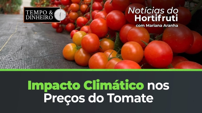 Temperaturas interferem nas oscilações dos preços do tomate. Queda nas cotações do mamão formosa