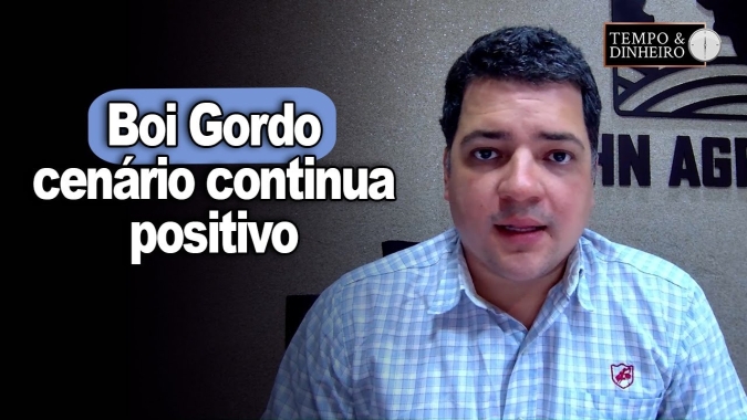 Boi gordo firme. Veja o que diz Hyberville Neto