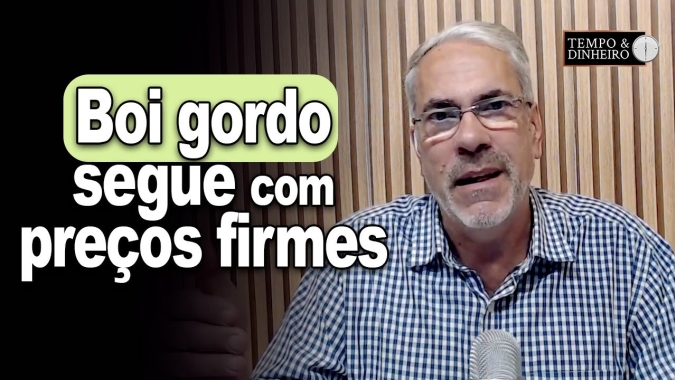 Boi gordo segue com preços firmes e de olho no consumo de carne no Dia dos Pais
