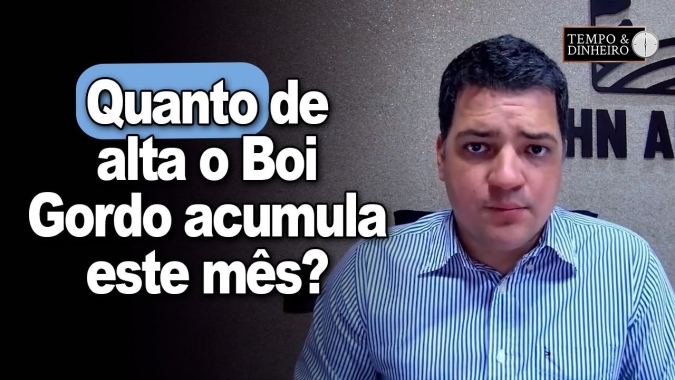 Boi começa segunda semana com cotações em alta e indicador acumula valorização de 6% neste mês