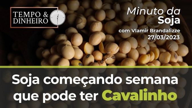 Soja começando semana que pode ter Cavalinho