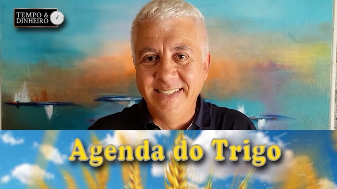 Trigo: Nesta semana tivemos o mercado dos dois lados