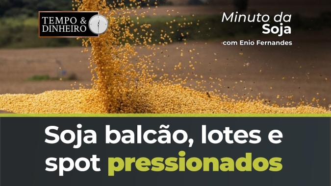 Soja balcão , lotes e spot pressionados com piora dos prêmios. Acompanhe com Ênio Fernandes