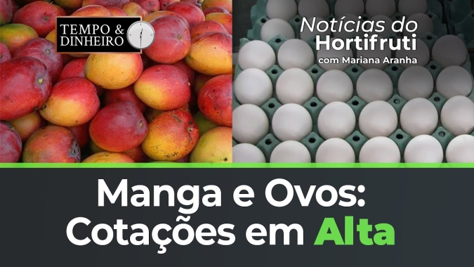 Cotações em alta para a manga. Alta também para os ovos em S