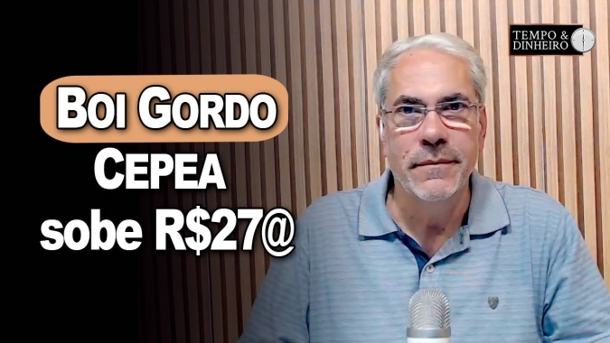 Boi gordo: depois do fundo do poço indicador CEPEA sobe R$27@. B3 sinaliza R$ 267,00 para  janeiro