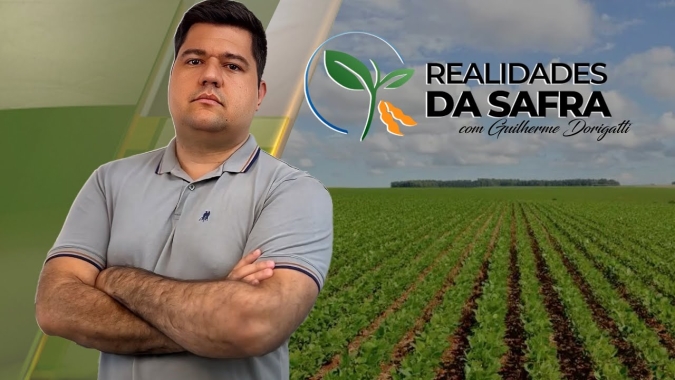 Junho muito chuvoso prejudicou colheita do milho no Paraná e plantio do trigo em Carazinho/RS