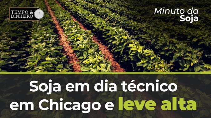 Soja em dia técnico em Chicago e leve alta.