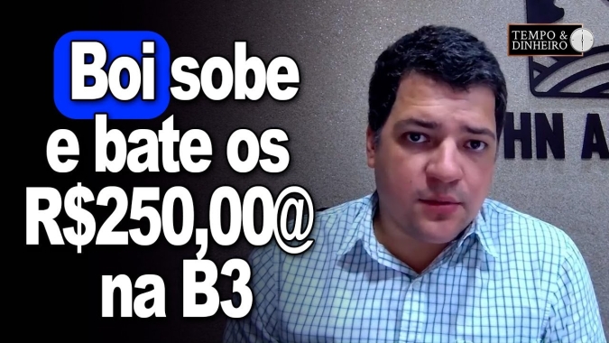 Boi sobe no mercado físico e bate os R$250,00@ na B3