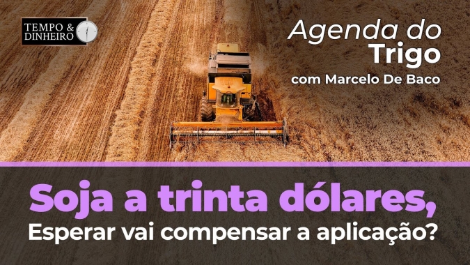 Soja a trinta dólares, quanto tempo temos esta precificação? Esperar vai compensar a aplicação?