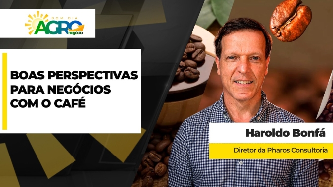 Perspectivas para a comercialização da nova safra de café são boas, apesar de volatilidade que deve continuar