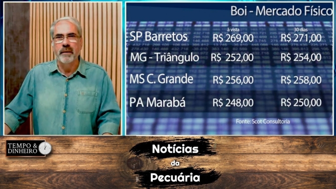 Boi gordo esboça reação de olho no consumo interno e  problemas de logística