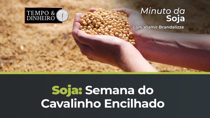 Soja em semana de Cavalinho Encilhado