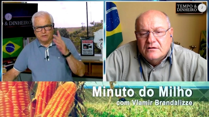 Milho mostrando indicativos firmes