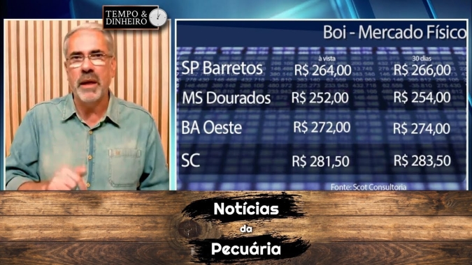 Boi gordo vai sofrer maior pressão com fêmeas no gancho
