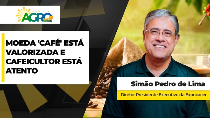 Café tem bom momento de preços e cafeicultores avançam nos negócios no ritmo de suas necessidades; cautela sobre as vendas futuras