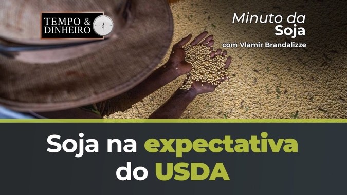 Soja na expectativa do USDA