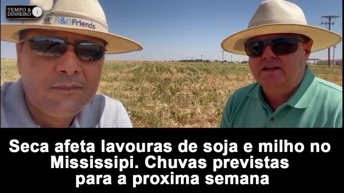Seca afeta lavouras de soja e milho no Mississipi. Chuvas previstas para a próxima semana