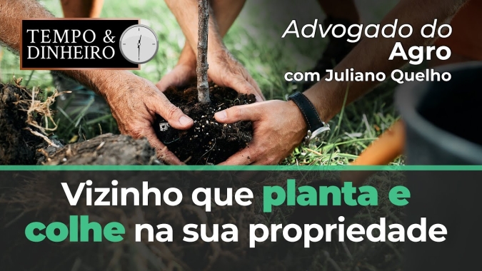 Advogado do Agro Responde sobre vizinho que planta e colhe na sua propriedade