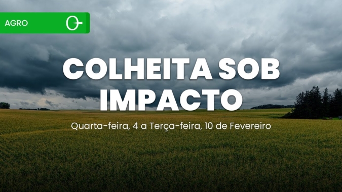 Chuvas persistentes impactam colheita de soja e milho no Brasil