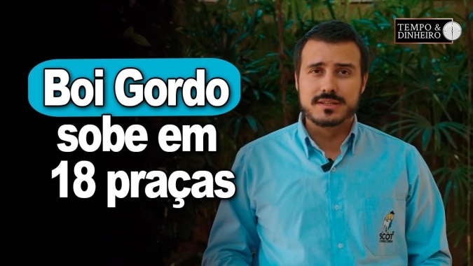 Boi gordo sobe em 18 praças com mercado firme e mais enxuta. Felipe Fabrri da Scot comenta