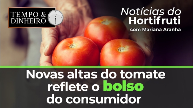 Nova alta do tomate reflete no bolso do consumido