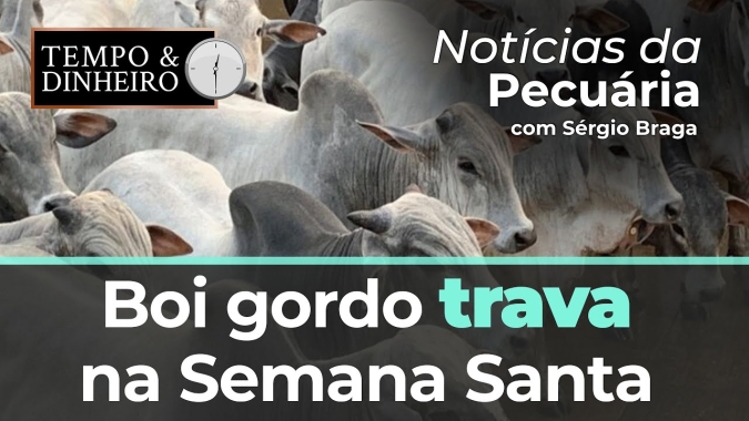 Boi gordo trava na Semana Santa com ofertas da indústria abaixo do esperado
