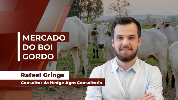 Elevação rápida da arroba do boi gera efeitos colaterais, tanto na demanda quanto na oferta, que podem limitar movimento de alta