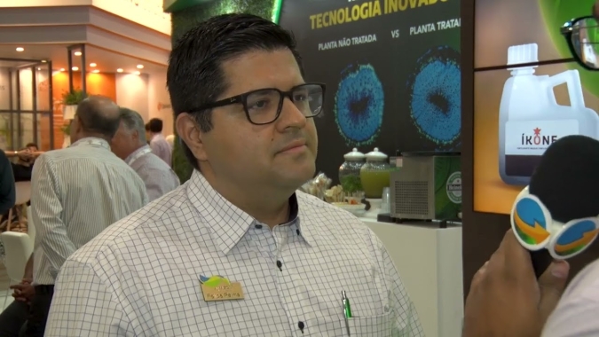 Molécula NAC, patenteada pelo IAC, em fertilizantes especiais garante maior produtividade em citros