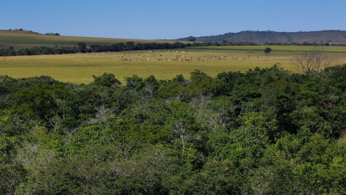 Decreto que cria mercado de carbono é passo importante para o agro, avalia CNA
