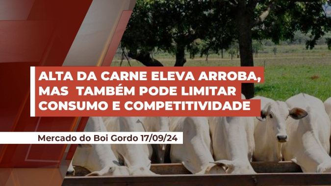 Alta do boi é sustentada pela elevação da carne, mas consultor alerta que carne cara limita demanda e piora concorrência com aves e suínos