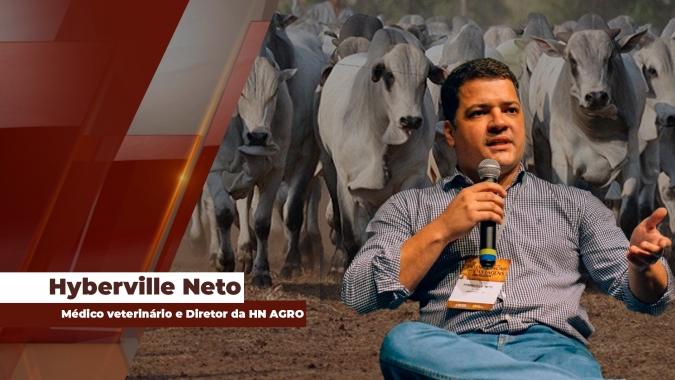 Oferta restrita de animais deve sustentar alta da arroba na reta final de outubro; exportação de carne bovina evolui bem