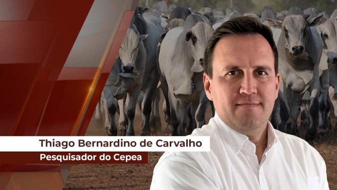 Mercado do boi segue firme e com forte valorização da carne bovina no atacado nos últimos 40 dias