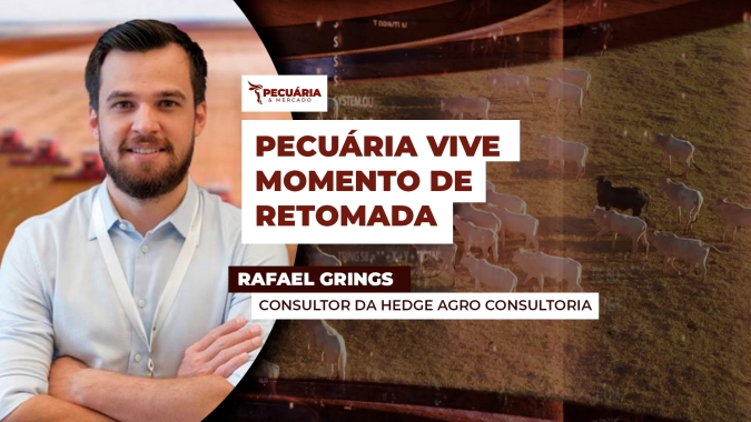 O bom momento da pecuária e as perspectivas para o segundo semestre