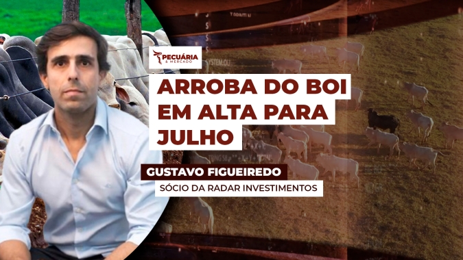 Cenário de alta está se desenhando para arroba do boi em julho