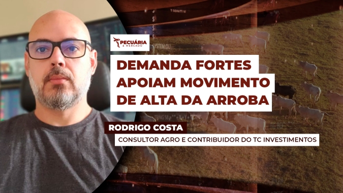 Demandas interna e de exportação de carne bovina estão firmes e dando suporte ao movimento de alta