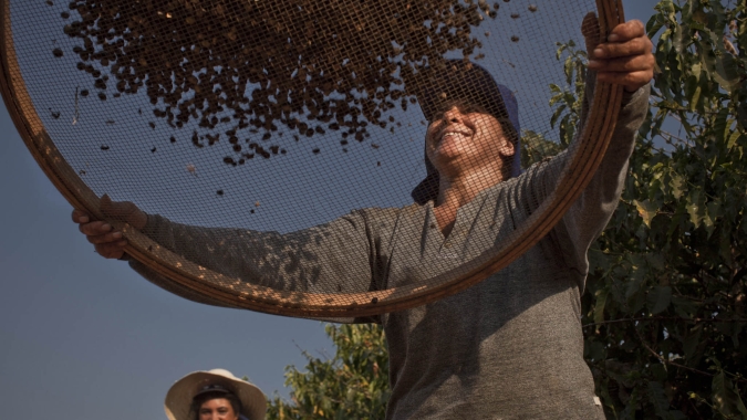 Café tem baixas na maior parte do pregão, mas encerra com estabilidade em Nova York