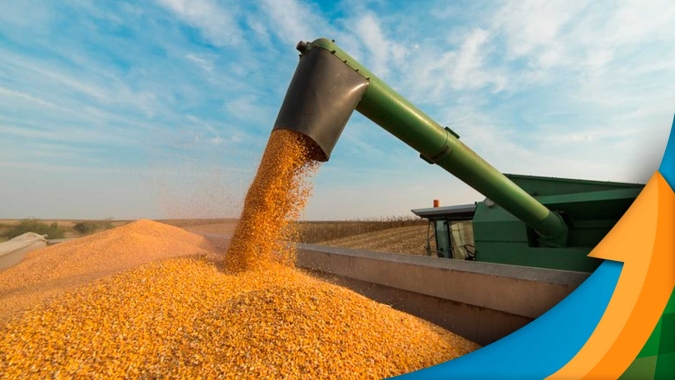 Tocantins já colheu 20% da safrinha de milho e espera queda grande na produção