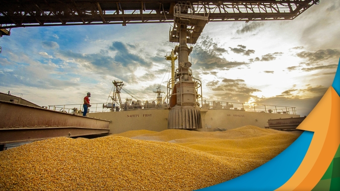 Com safra total de milho devendo chegar à 140 milhões de toneladas, são as exportações que estão segurando os preços no Brasil, diz analista