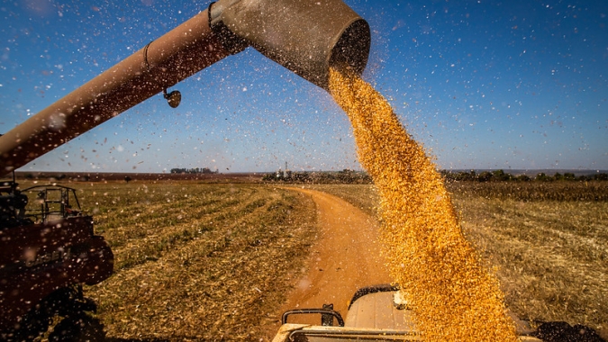 Safra 2019/20: Oferta de grãos em MS supera a demanda, aponta Aprosoja/MS