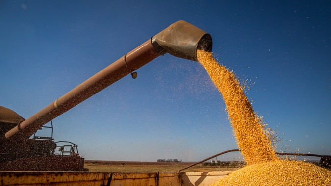 Ritmo das exportações de milho cresce com relação ao mês passado, mas fica bem abaixo de agosto/20
