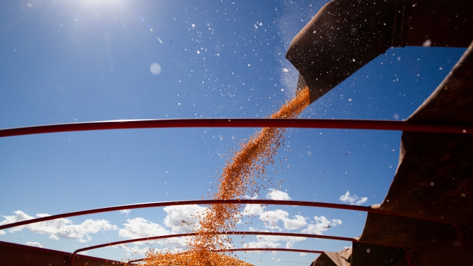 Colheita do milho passa dos 94% no Mato Grosso do Sul, indica Aprosoja