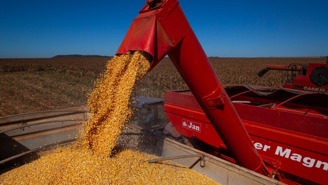 Colheita do milho salta para 77% no Mato Grosso do Sul com 51 pontos a frente da safra passada, aponta Aprosoja