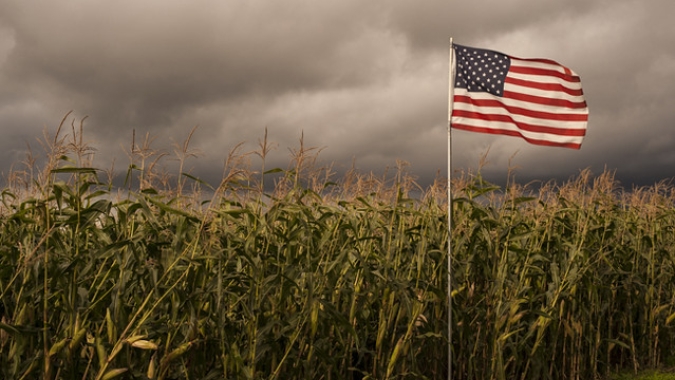 EUA 25/26: Especialista fala em 60% de chance de seca no Corn Belt, enquanto mercado espera números de área